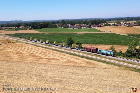 Locomotive 643.038 pulling an empty wood train from Kidricevo to Lipovci near Grlava. Just behind the loco, the wagon serves for the staff