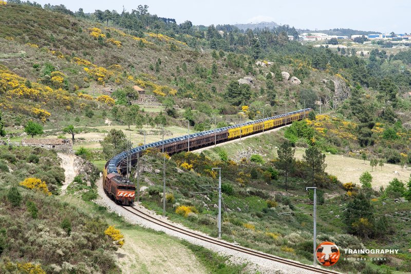 The 515 meters long train of Renault cars coming from Venta de Baños passes by Ponte Nova with CP 2605