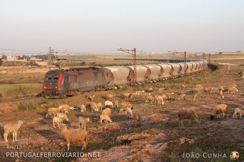 Typical Morocco! BB 36008 (still with Blainville's coat of arms) descends a 5.000t phosphate train from Oued Zem to Jorfe Lasfar