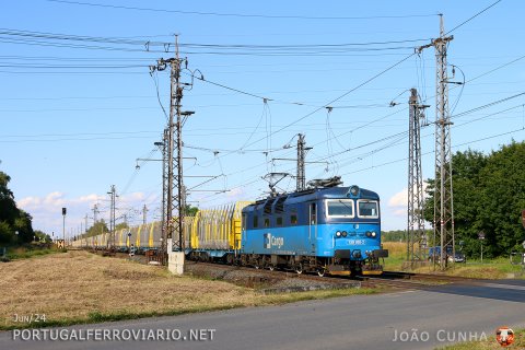 Empty wood train pulled by 130.005 at Suchdol nad Odrou
