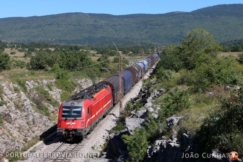 Passing by Črnotiče, 541.105 leads a steel train from Slovakia to the port of Koper