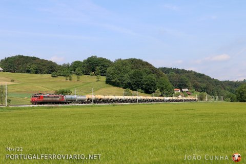 Arriving to Grobelno, 363.001 heads a southbound cement train, going to Croatia
