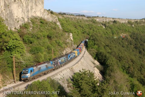 Climbing at Crnotice, 1216.922 leads with 193.694 a train including 193.012 from Koper to Spielfeld