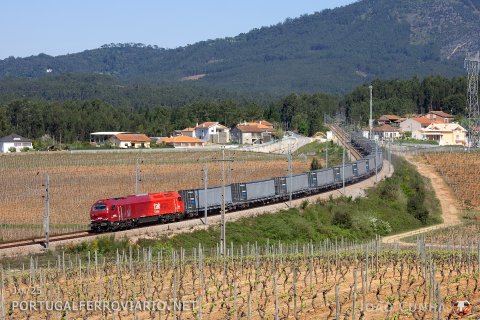 Brand new 6001 heading the paper train 49802/3 from Zaragoza-Espartal to Alverca by the Vacariça vineyards